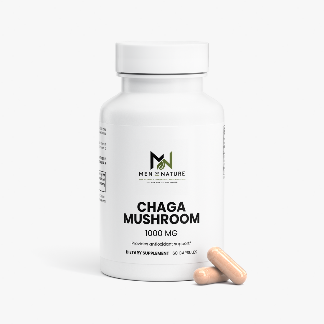 Chaga Mushroom